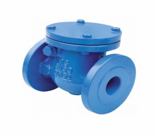 Swing Check Valve